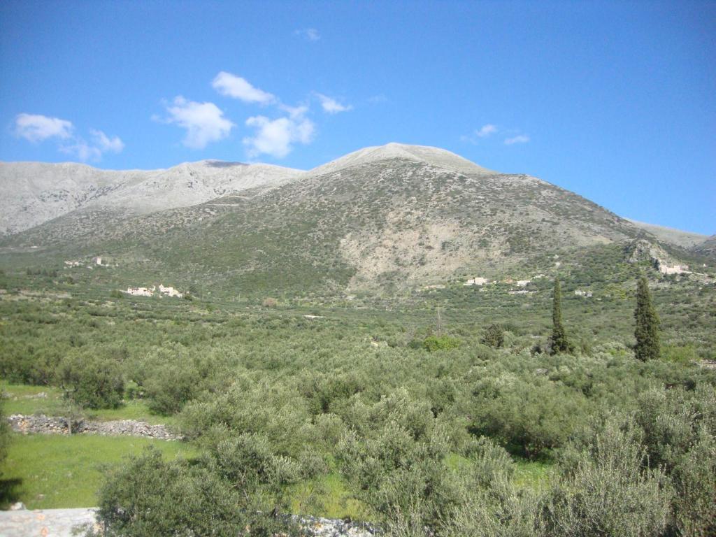 Kafiona Guesthouse Pírgos Dhiroú Eksteriør bilde